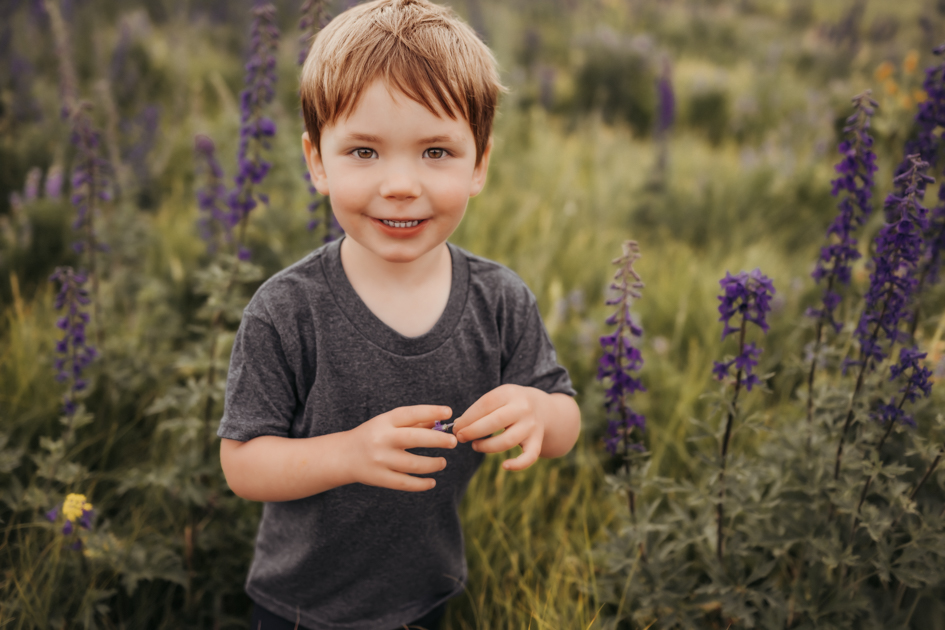 Boy picking wildflowers on the San Francisco Peaks in Flagstaff, AZ by Annie Bee Photography.