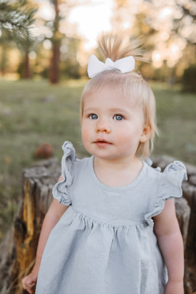 Toddler in the forest in a dress by annie bee photography.